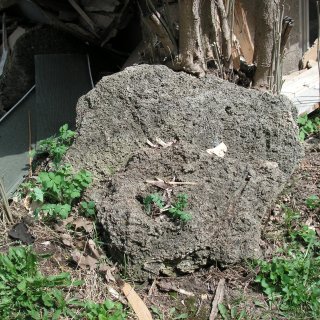 Brantford Tufa Mounds Earth Science ANSI