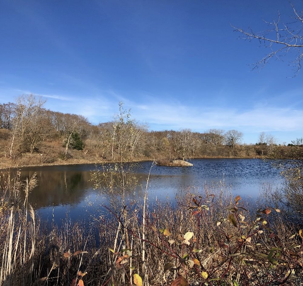132 Savannah Oaks Pond, Brantford ON